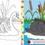 Лебедь раскраска для детей