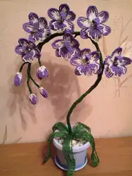 Орхидеи В Горшке Из Бисера