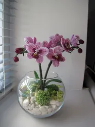 Орхидеи В Горшке Из Бисера