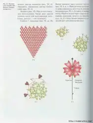 Цветы из бисера гвоздика