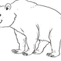 Медведь Раскраска Для Детей