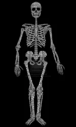 Котик скелет из бисера