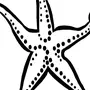 Морская звезда раскраска
