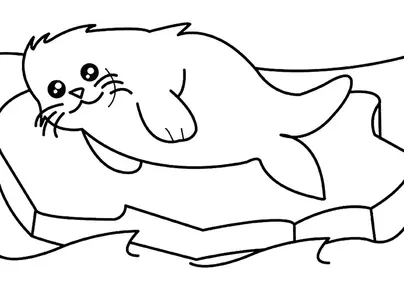 Морской котик раскраска
