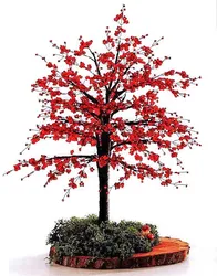 Красное дерево из бисера своими руками