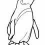 Пингвин Раскраска Для Детей