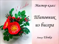 Мк Шиповник Из Бисера