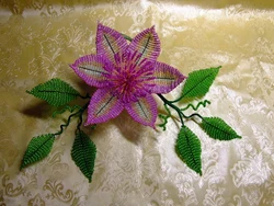 Цветы клематис из бисера