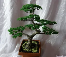 Китайское дерево бонсай из бисера