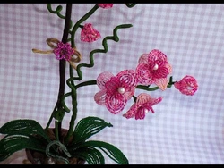 Орхидея фото в горшке из бисера