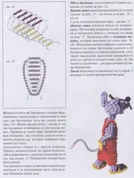 Сплести крысу из бисера
