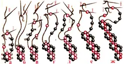 Плетение цепочки из бисера для начинающих