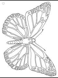 Шаблон бабочки для броши из бисера