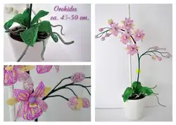 Плетение из бисера цветы орхидеи