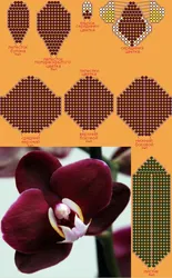 Плетение Из Бисера Цветы Орхидеи