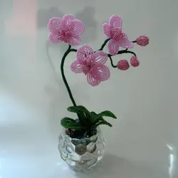 Плетение из бисера цветы орхидеи