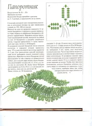 Книги по плетению деревьев из бисера