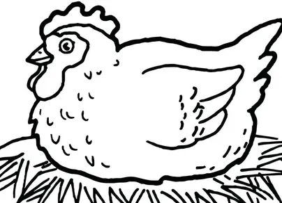 Раскраски - Курица с цыплятами